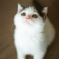 ɰõСèQQͷ(57)_WWW.AIGEXING.COM