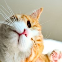 ɰõСèQQͷ(27)_WWW.AIGEXING.COM