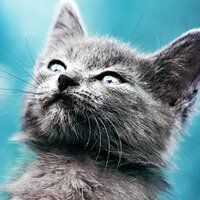 ɰõСèQQͷ(51)_WWW.AIGEXING.COM
