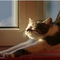 ɰõСèQQͷ(6)_WWW.AIGEXING.COM