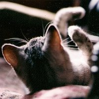 ɰõСèQQͷ(45)_WWW.AIGEXING.COM