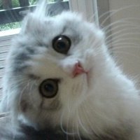 ɰõСèQQͷ(16)_WWW.AIGEXING.COM