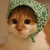 ɰõСèQQͷ(30)_WWW.AIGEXING.COM