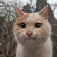 ɰõСèQQͷ(34)_WWW.AIGEXING.COM