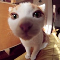 ɰõСèQQͷ(22)_WWW.AIGEXING.COM