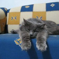 ɰõСèQQͷ(74)_WWW.AIGEXING.COM