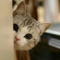 ɰõСèQQͷ(4)_WWW.AIGEXING.COM