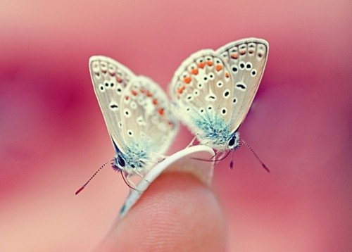 ѧרøЦӴȫ˾һöӲңǰ1Ǿջ(1)_WWW.AIGEXING.COM