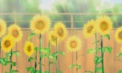 ʹ˸ӢĸǩI think I like you, that