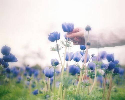 ֵ˸˵˵ѰҸѰôãδ(2)_WWW.AIGEXING.COM