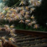 ·ΪΨŮۿͷȫ(26)_WWW.AIGEXING.COM