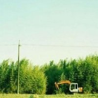 С΢ŮͷͼƬ(25)_WWW.AIGEXING.COM