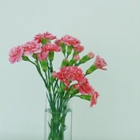С΢ŮͷͼƬ(31)_WWW.AIGEXING.COM