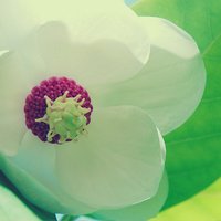 С΢ŮͷͼƬ(22)_WWW.AIGEXING.COM