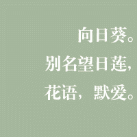 ˸дQQͷ(19)_WWW.AIGEXING.COM