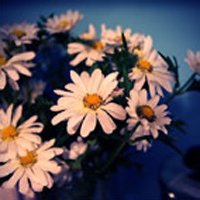 ЬͷͼƬ(40)_WWW.AIGEXING.COM