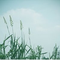 ЬͷͼƬ(36)_WWW.AIGEXING.COM
