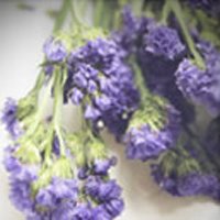ЬͷͼƬ(30)_WWW.AIGEXING.COM