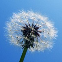 ⾳ƯŮ΢ͷ(38)_WWW.AIGEXING.COM