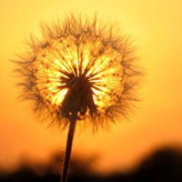⾳ƯŮ΢ͷ(39)_WWW.AIGEXING.COM