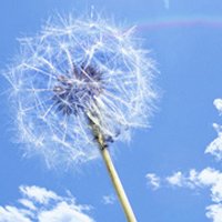 ⾳ƯŮ΢ͷ(42)_WWW.AIGEXING.COM