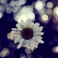 ⾳ƯŮ΢ͷ(22)_WWW.AIGEXING.COM