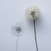 ⾳ƯŮ΢ͷ(44)_WWW.AIGEXING.COM