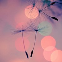 ⾳ƯŮ΢ͷ(11)_WWW.AIGEXING.COM