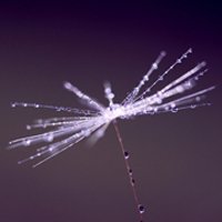 ⾳ƯŮ΢ͷ(43)_WWW.AIGEXING.COM