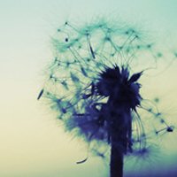 ⾳ƯŮ΢ͷ(47)_WWW.AIGEXING.COM