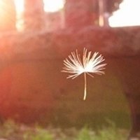 ⾳ƯŮ΢ͷ(41)_WWW.AIGEXING.COM