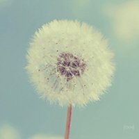 ⾳ƯŮ΢ͷ(49)_WWW.AIGEXING.COM