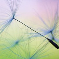 ⾳ƯŮ΢ͷ(48)_WWW.AIGEXING.COM