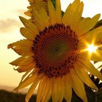 ⾳ƯŮ΢ͷ(19)_WWW.AIGEXING.COM