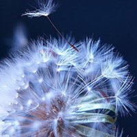 ⾳ƯŮ΢ͷ(37)_WWW.AIGEXING.COM