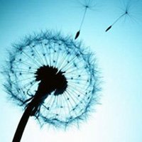 ⾳ƯŮ΢ͷ(46)_WWW.AIGEXING.COM