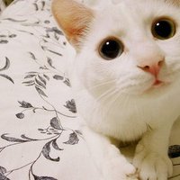 ЦèͷͼƬ(10)_WWW.AIGEXING.COM