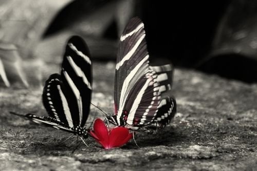 ŮQQ˵˵ͼΪȻ,ΪĥԼ(7)_WWW.AIGEXING.COM