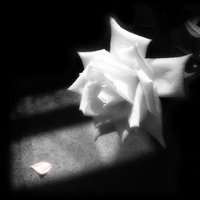 ⾳΢ͷͼƬ(13)_WWW.AIGEXING.COM