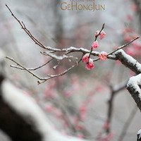 ⾳΢ͷͼƬ(42)_WWW.AIGEXING.COM