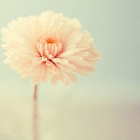 ⾳΢ͷͼƬ(14)_WWW.AIGEXING.COM