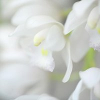⾳΢ͷͼƬ(45)_WWW.AIGEXING.COM