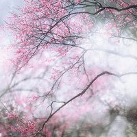 ⾳΢ͷͼƬ(43)_WWW.AIGEXING.COM