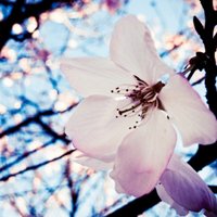 ⾳΢ͷͼƬ(20)_WWW.AIGEXING.COM