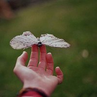 ŮQQȺͼƬ(32)_WWW.AIGEXING.COM
