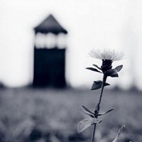 ŮQQȺͼƬ(17)_WWW.AIGEXING.COM