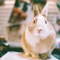 ŮQQȺͼƬ(18)_WWW.AIGEXING.COM