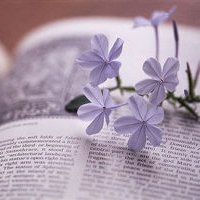 СΨۿͷͼƬ(34)_WWW.AIGEXING.COM