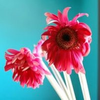 СΨۿͷͼƬ(47)_WWW.AIGEXING.COM