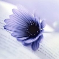 СΨۿͷͼƬ(1)_WWW.AIGEXING.COM